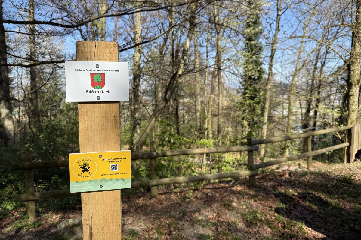 Der Pfahl auf dem Hurbig in Buchberg.