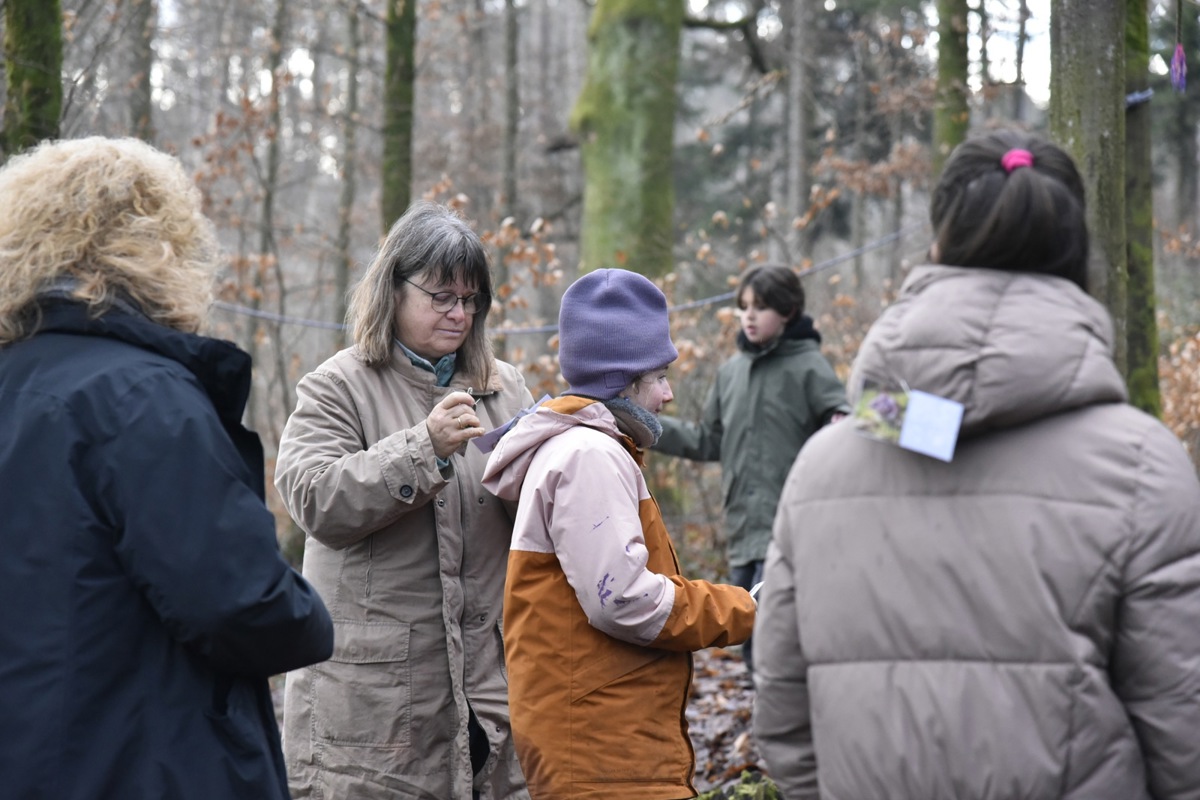 Das Waldschulzimmer ermöglicht es, in der Natur zu lernen. Lehrerin Barbara Rutschmann hat ein Spiel zu den Tieren des Waldes vorbereitet, bei dem die Schülerinnen und Schüler lernen, welches Tier wo lebt.