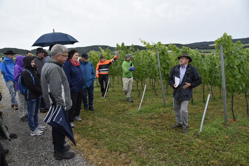 1107 3 Rebbau Cs4 1107 3 Rebbau Cs4