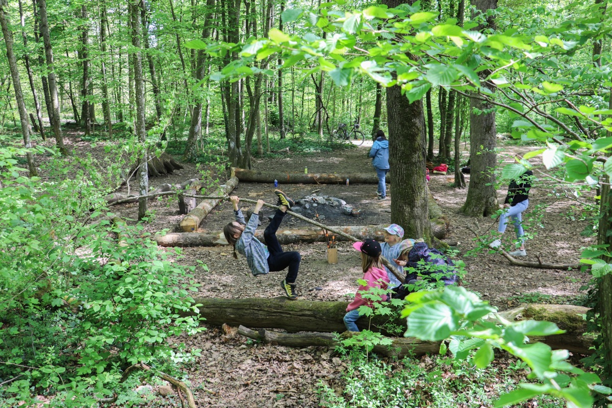 Das Spielen im Wald stand im Fokus. So nutzten die Kinder einen Baum kurzerhand als Turngerät.