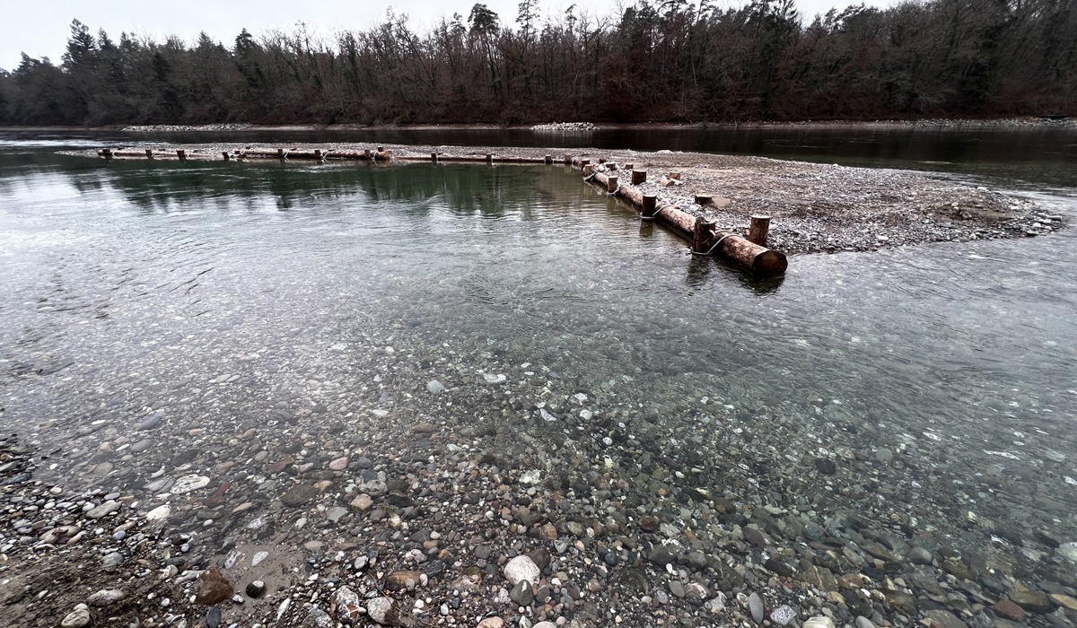 img_72714.jpg img_72714.jpg