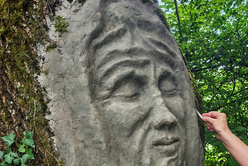1408 13 Baumseele Zvg12